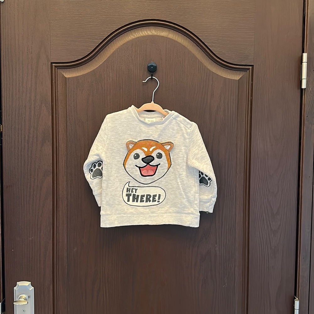 Zara boy’s sweater shirt
